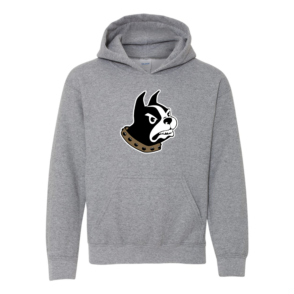 Youth Wofford Terriers Gildan Heavy Blend  Hooded Sweatshirt
